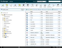 cpanel filemanager intro