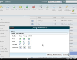cpanel file manager permissions