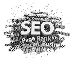 Search Engine Optimization