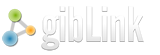 gibLink | Global Internet Business Link
